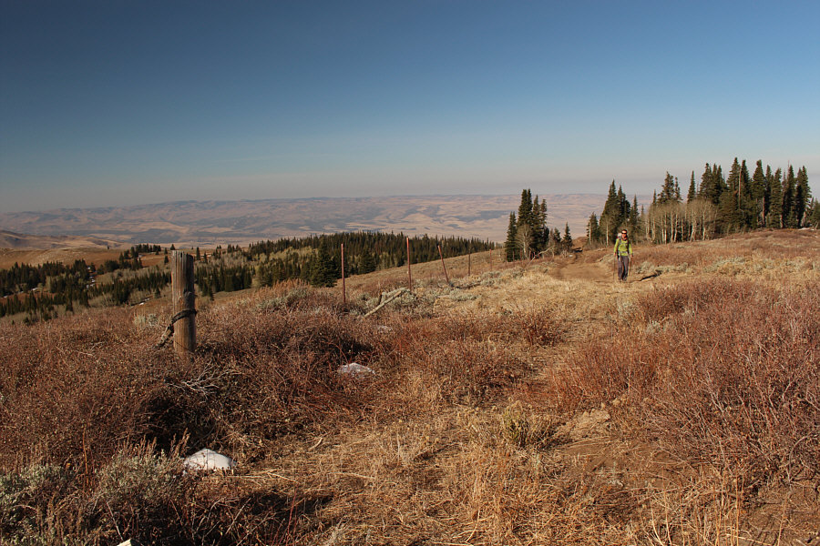 I don't mind walking the extra distance on a beautiful day like this.