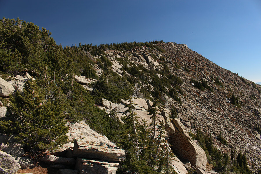 Pick your poison, I guess!