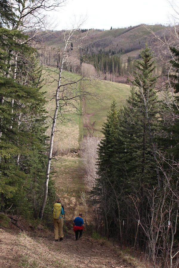 Not the most efficient way to get onto Carry Ridge!