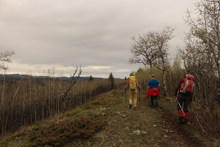 No cairns, but I'll claim another summit!