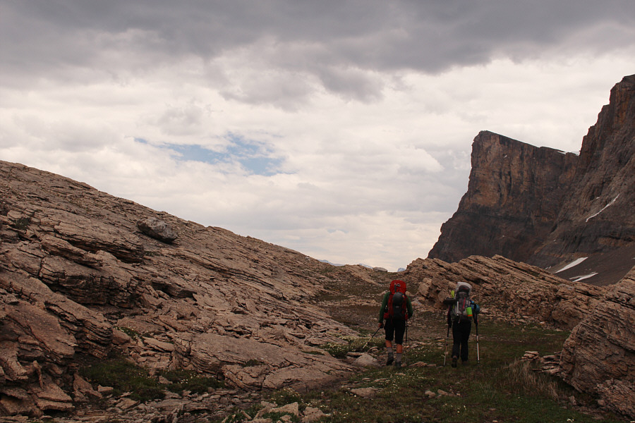 I will never come back here again!