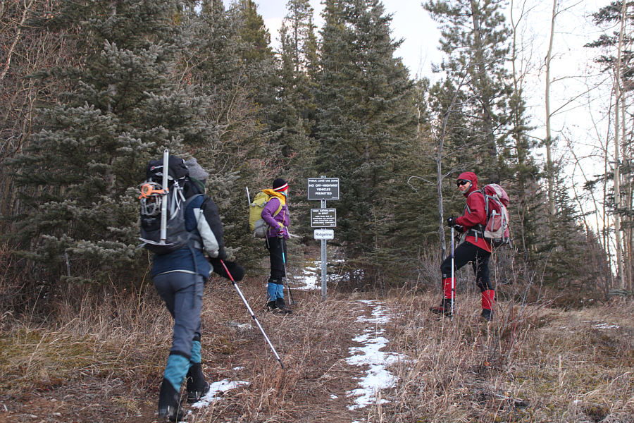 We're not lost yet! Yay!