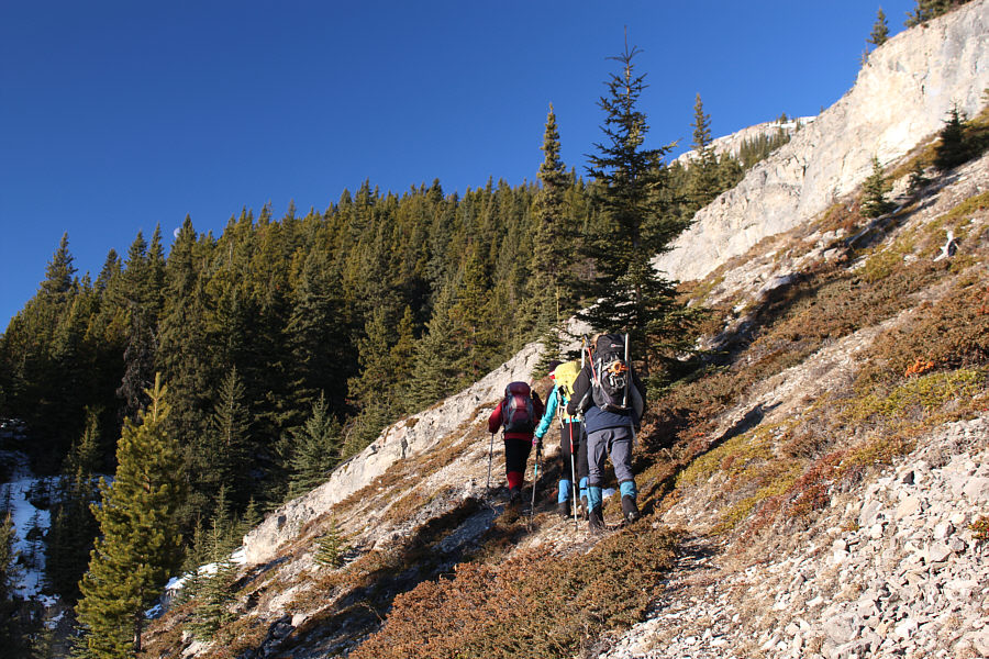 Can you spot the moon?