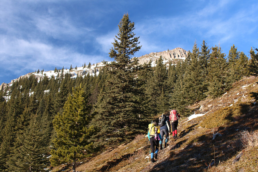 If you lose the trail here, keep going up and to the left!