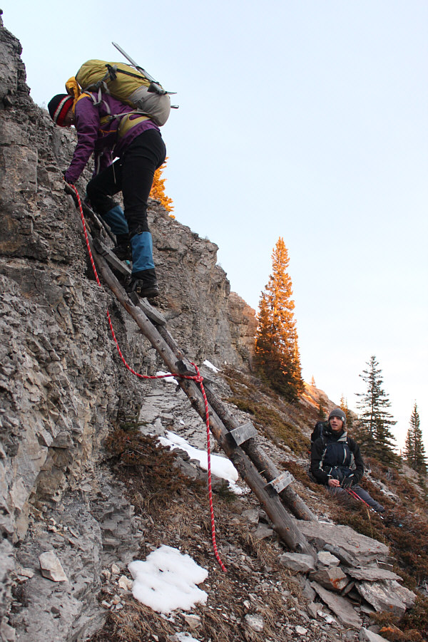 I wouldn't trust that ladder much longer...