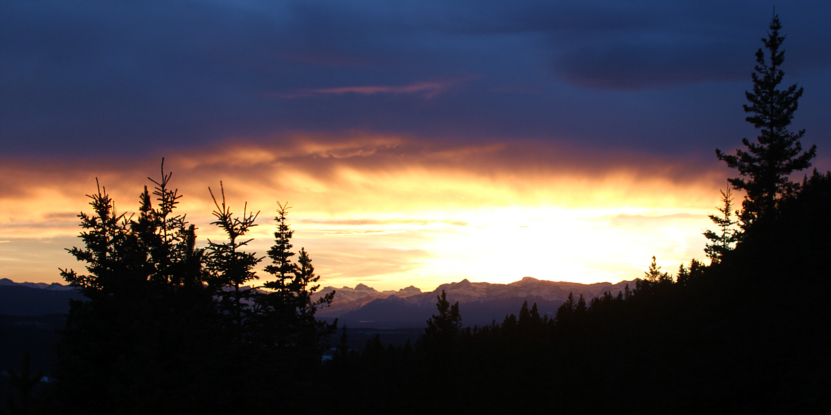 Let the stumbling in the dark begin!