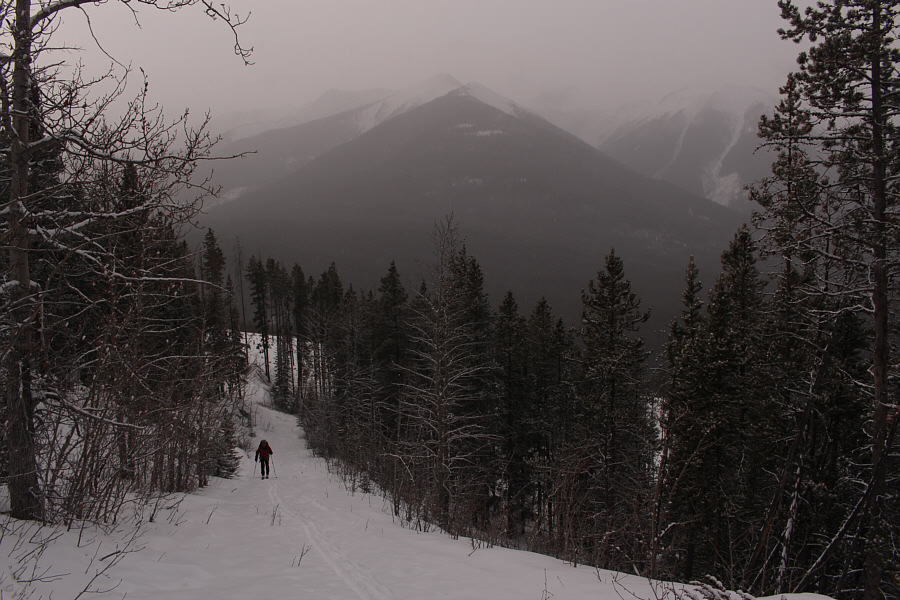 Given the "Considerable" avalanche rating for the weekend, there was surprisingly no one else skiing here today.