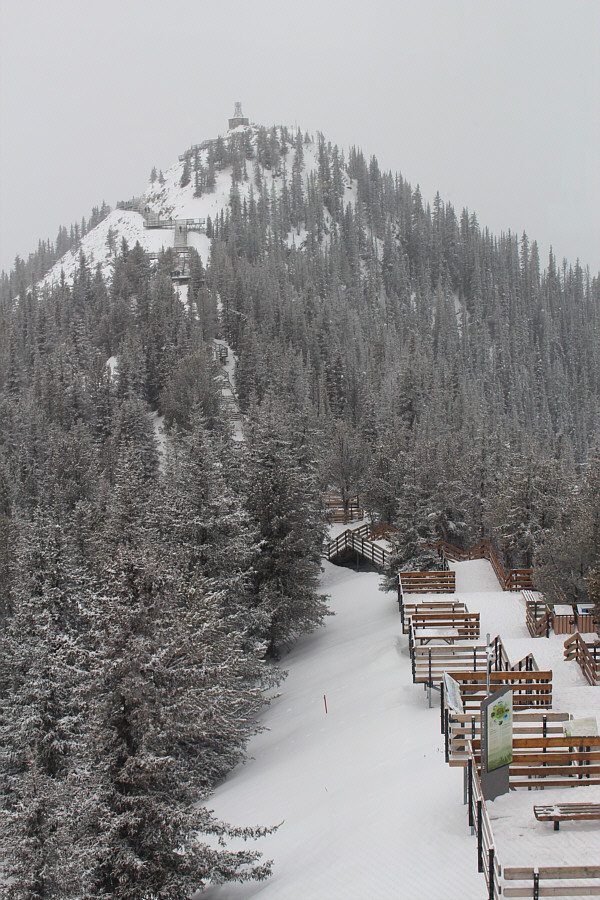 I remember a time when the boardwalks didn't exist...