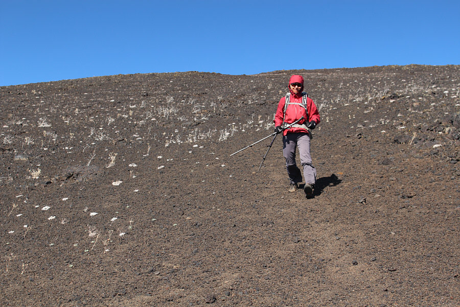 Don't even need help from the trekking poles!