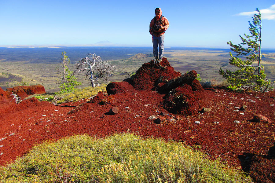 Guess which way the prevailing winds usually blow up here!