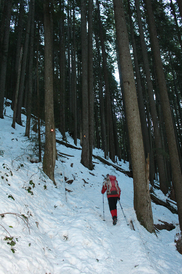 It's not the Grouse Grind, but it's a grind nonetheless!