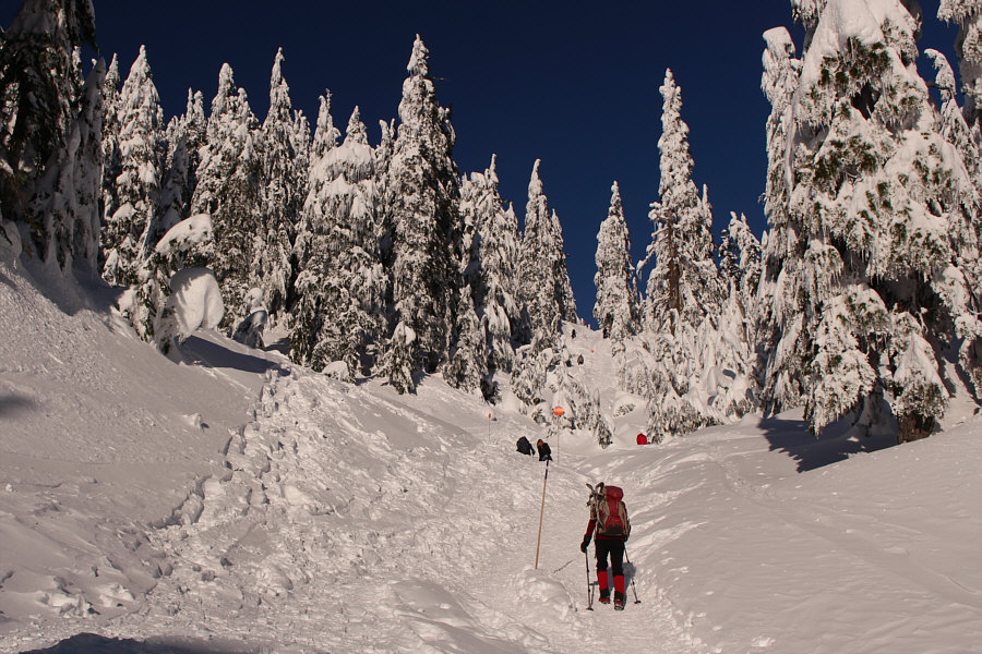 Watch out for butt-sliding snowshoers!