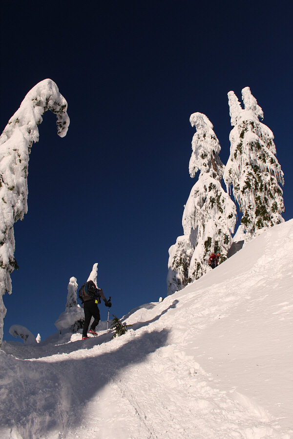 Wow, we're at the top already??