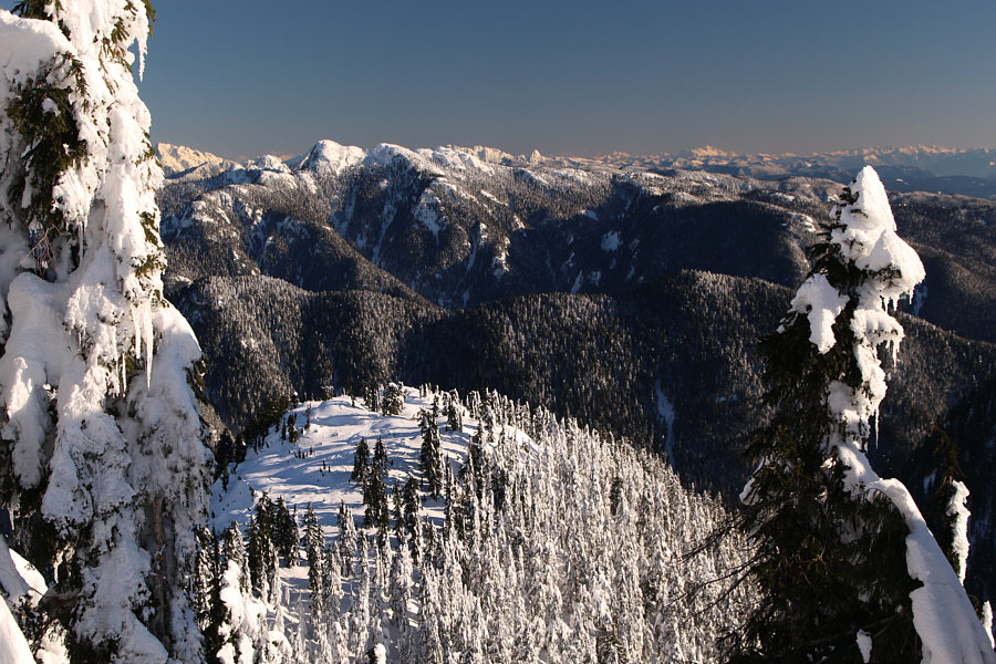 Do we really need to go DOWN there?