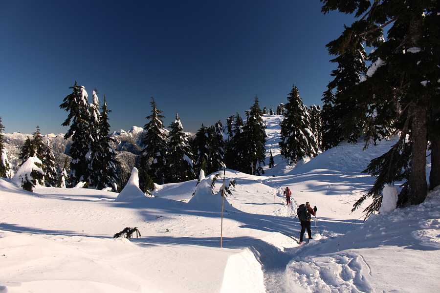 I wish we were skiing here...