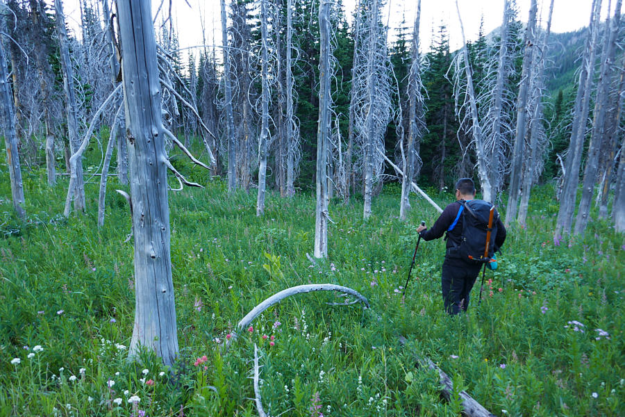 It's so nice to walk horizontally again!