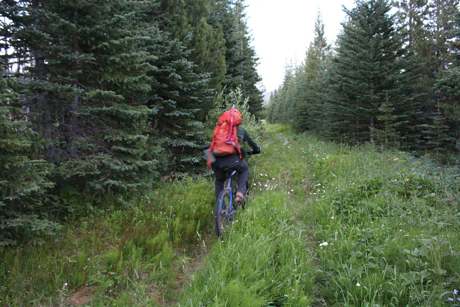 I wear my sunglasses at night...