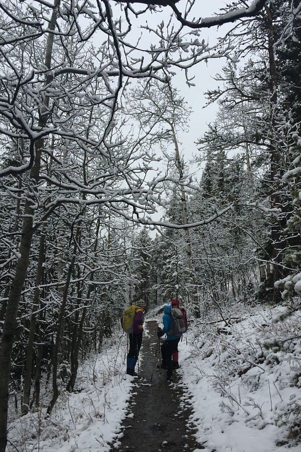 A winter-like wonderland!