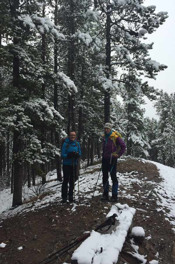 According to a sign beside the trail leading here, this is supposed to be a viewpoint!