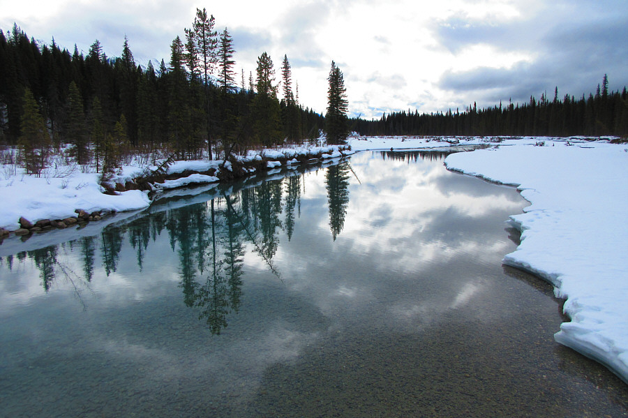 A very nice shot by Zosia!