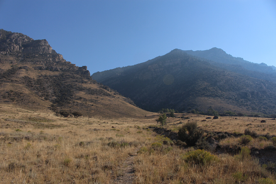 It looks flat here, but you're already gaining elevation on this trail!