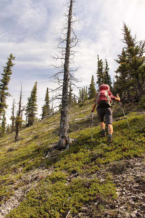 Look at them sexy calves!