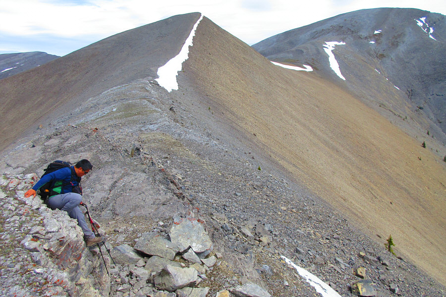 Okay, these drop-offs are starting to get a little annoying...