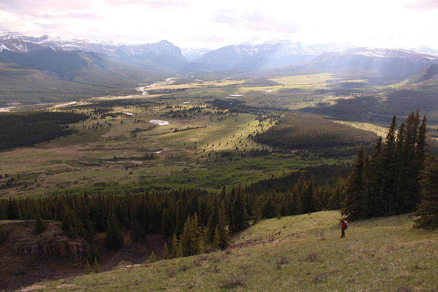 Watch out for whistling marmots here!