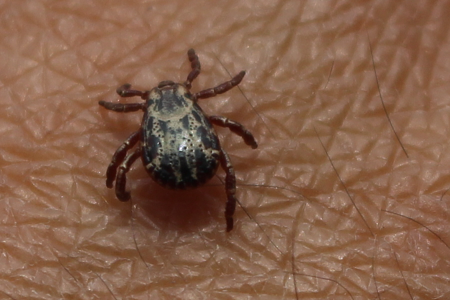 Interesting little holes on the back of this thing!