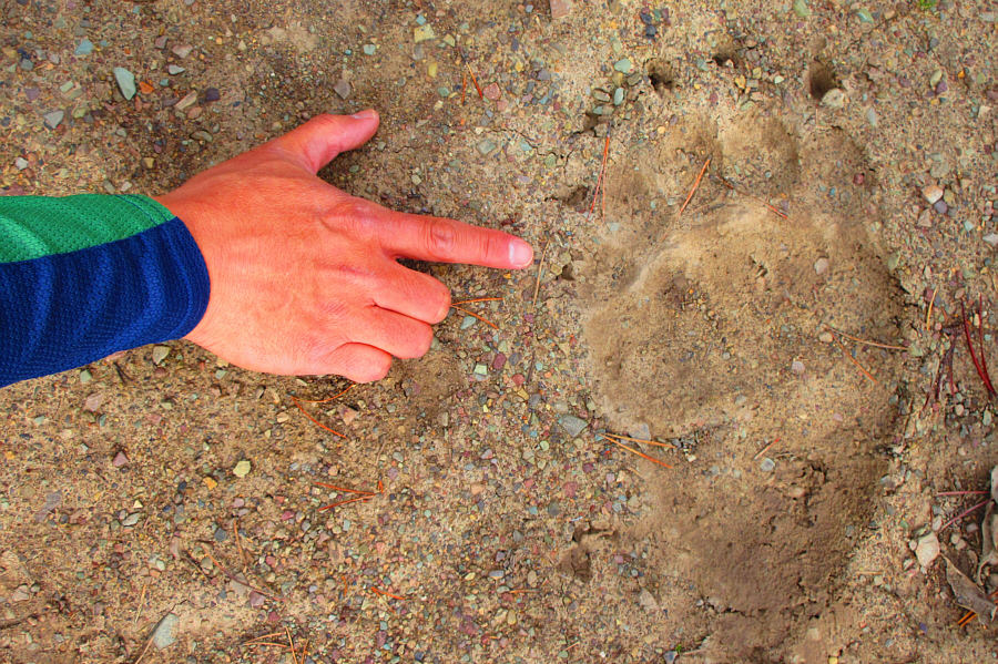 Did anyone remember to bring bear spray??