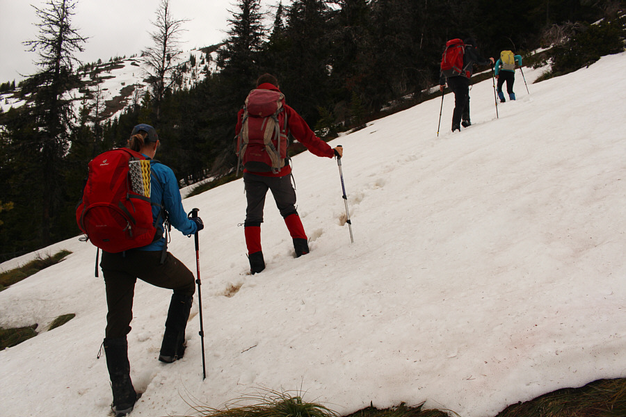 We don't need no stinkin' trail!!