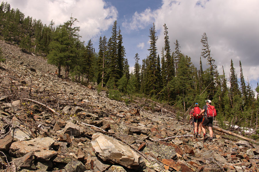 We lost the trail in the deadfall and snow in the trees ahead, but if I had to guess, I think it eventually leads to the crest of the west ridge.