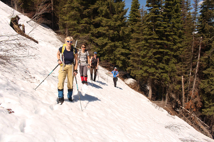The trail is easy to follow even through the snow since it stays pretty straight all the way up.