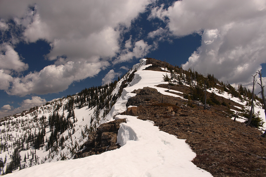 Can you spot Zosia up ahead?