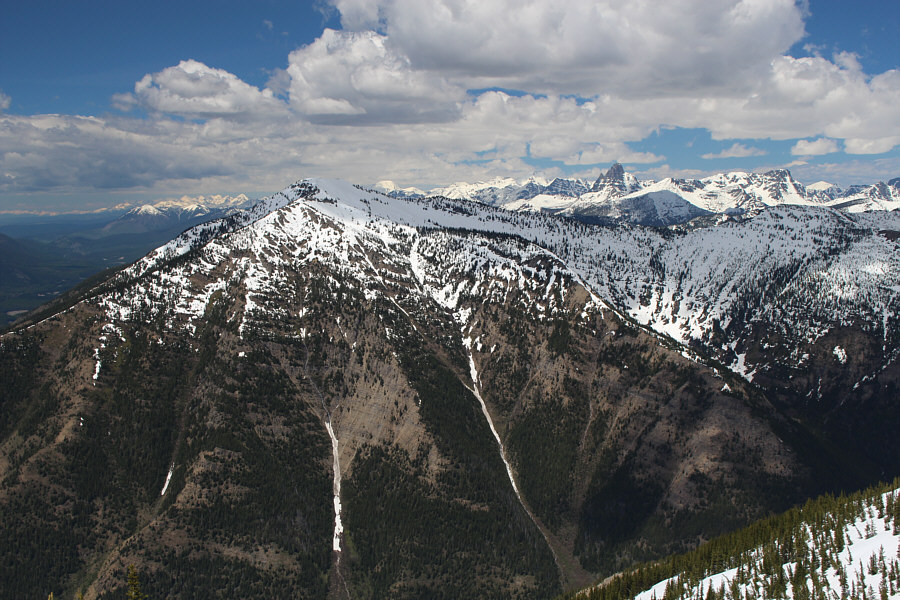 Scramble the bunny but not Santa Claus!