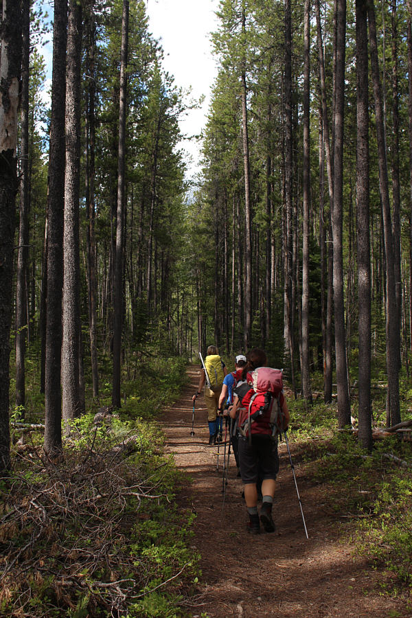Everyone is starting to think about ice cream...