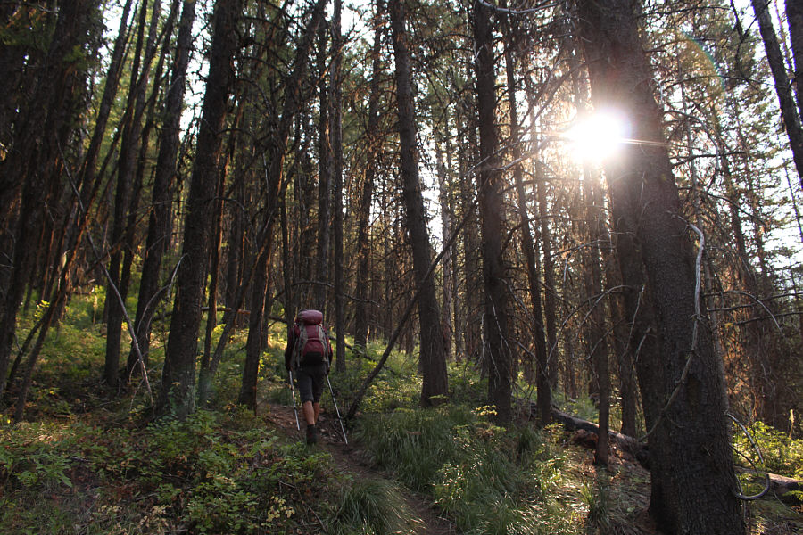 Brutally and unrelentingly steep.