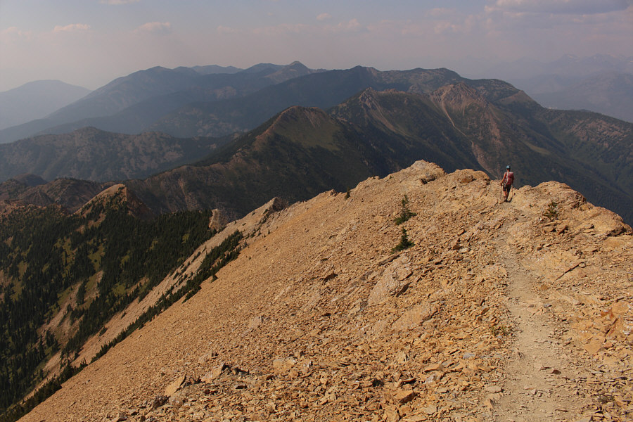 Dreaming of an ice-cold beer right now...