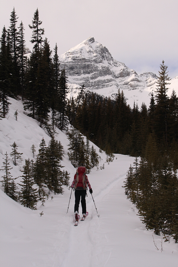 Too bad I missed taking a photo of the moose we saw around here.