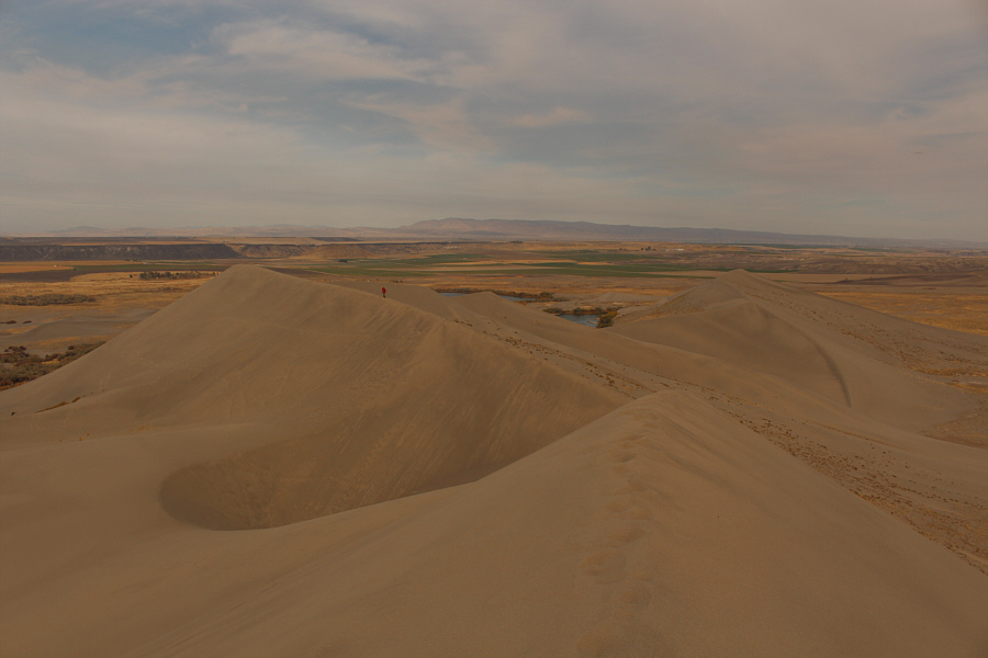 We had the whole dune to ourselves on this afternoon!