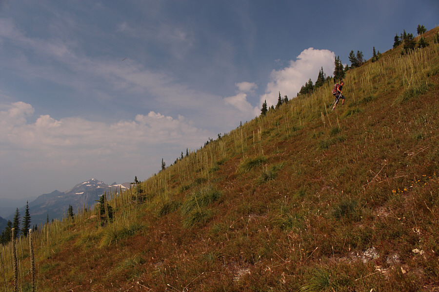 It's a family-friendly slope!