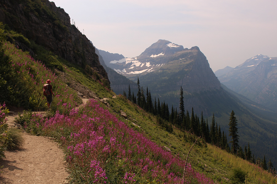 Wow, the trail actually looks empty here!