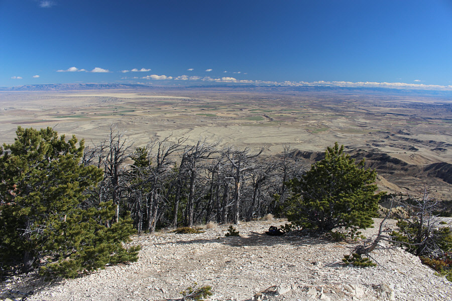The McCullough Peaks don't look like much from here!