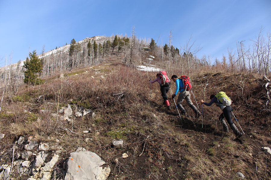 Let the grunting begin!