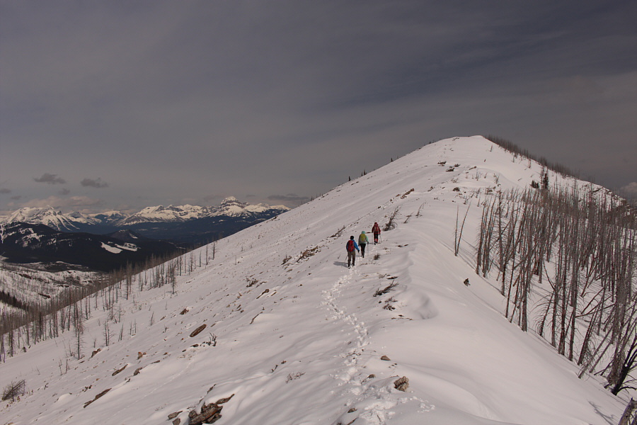 It's pretty much a cakewalk from here!