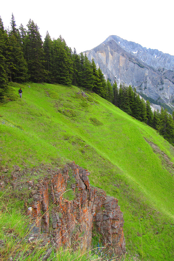 Gotta love Zosia's camera's vivd setting!