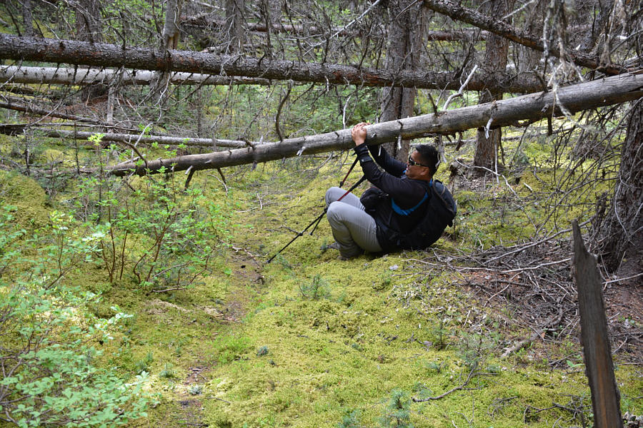 At least we have a trail to follow here!