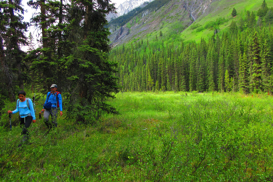 Lotsa bones here...maybe even a few human ones!