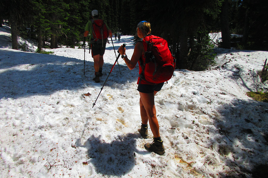 And the group ahead had two friendly dogs as well!
