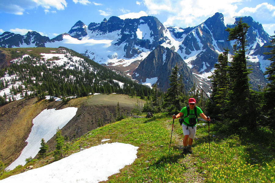 Look at all them glacier lilies!